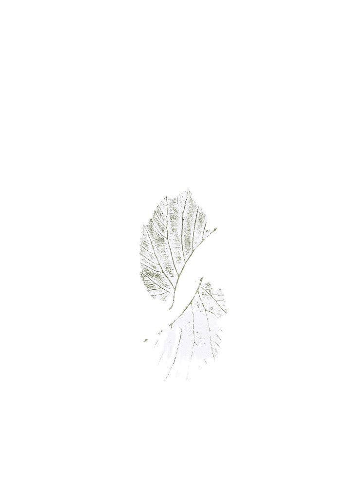 Minimal leaves
