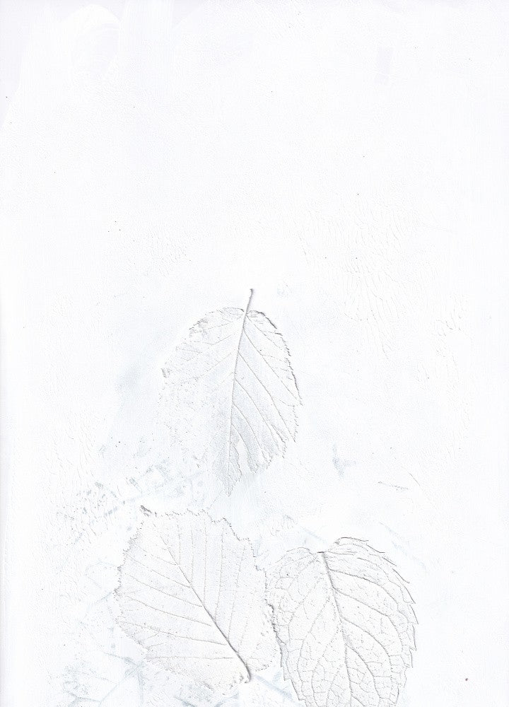 Minimal leaves