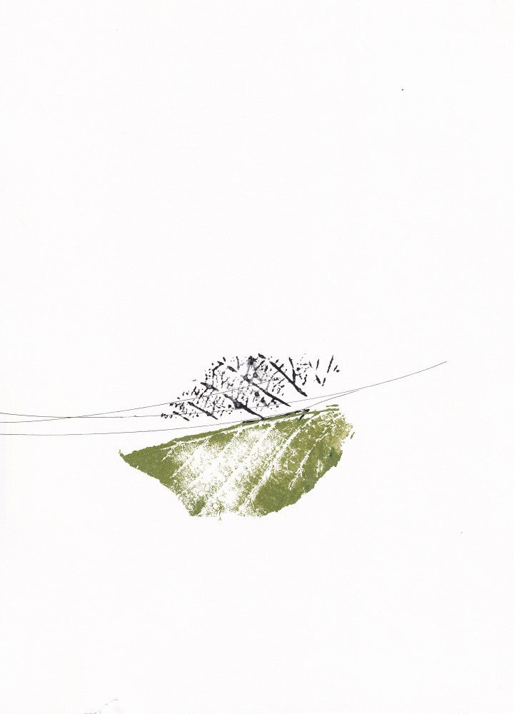 Leaves