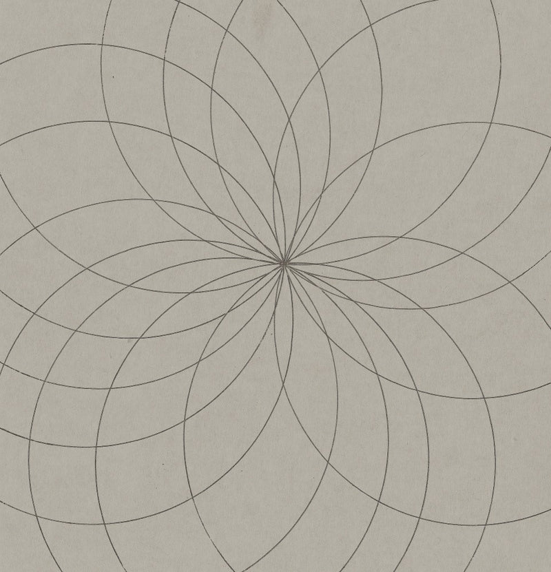 Geometric Bloom