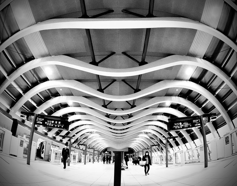 Station's Rib