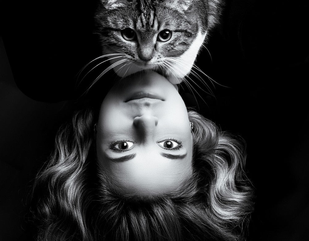 Doppelter Blick