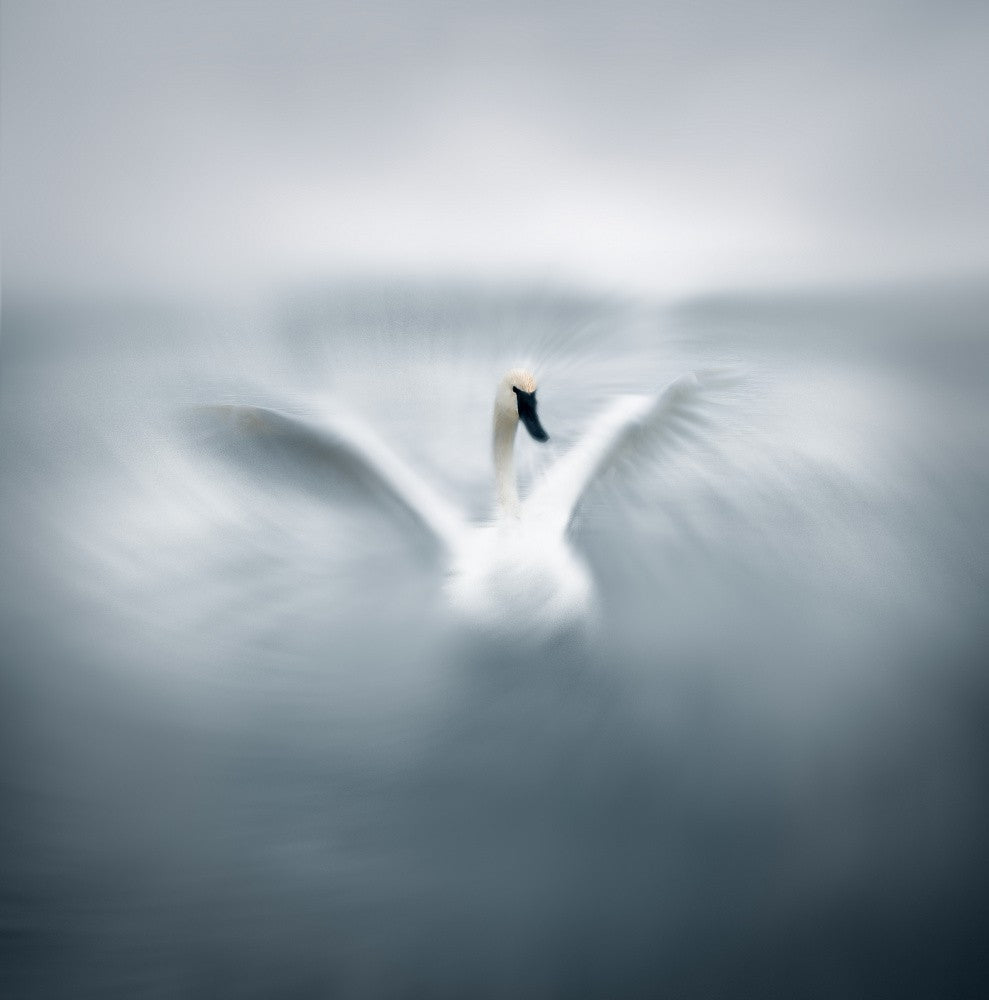 The way of an Angle