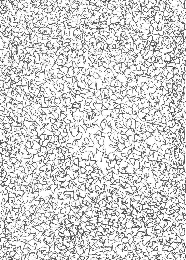 Chaotic Whirlwind