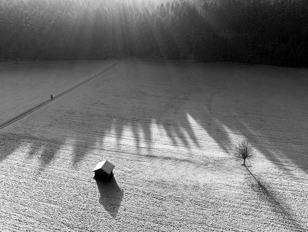Long shadows II