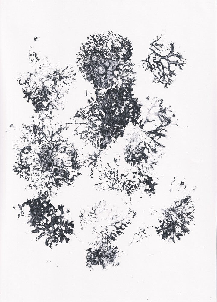 Plants II