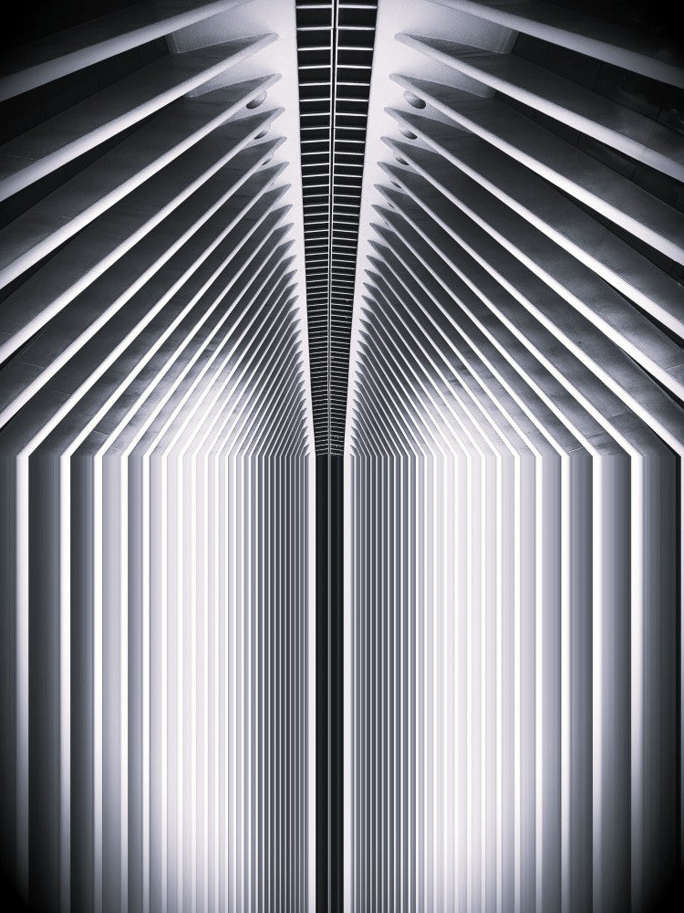 Lines