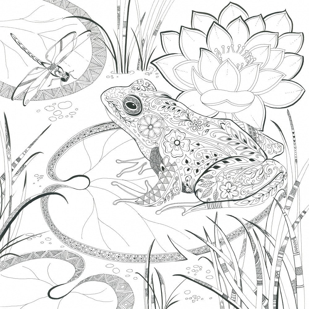 Ornate Pond Life