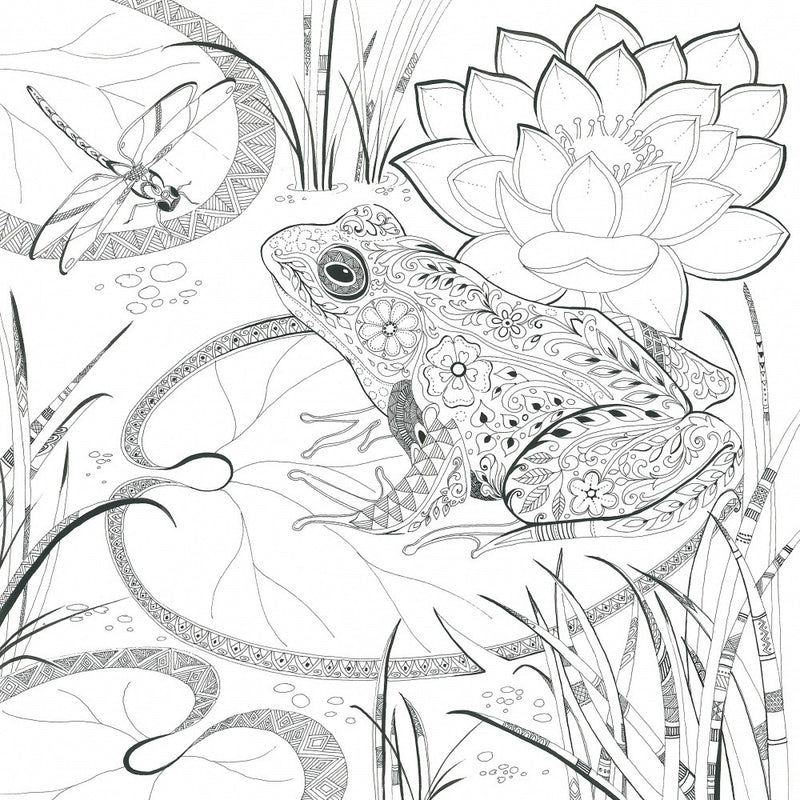 Ornate Pond Life