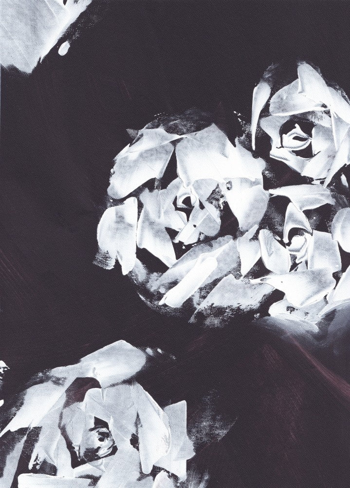 ABSTRACT  ROSES