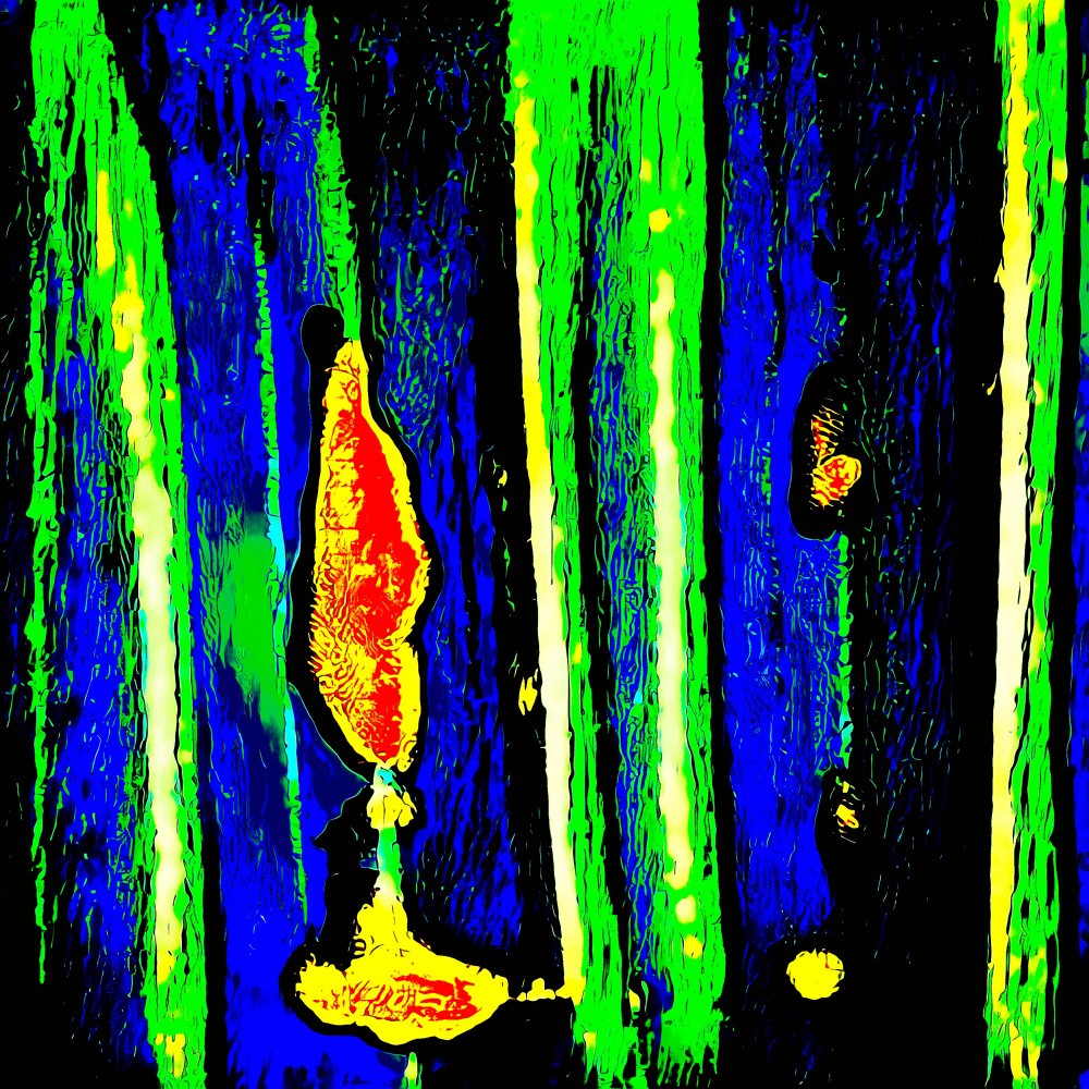 Img 20250123 040510