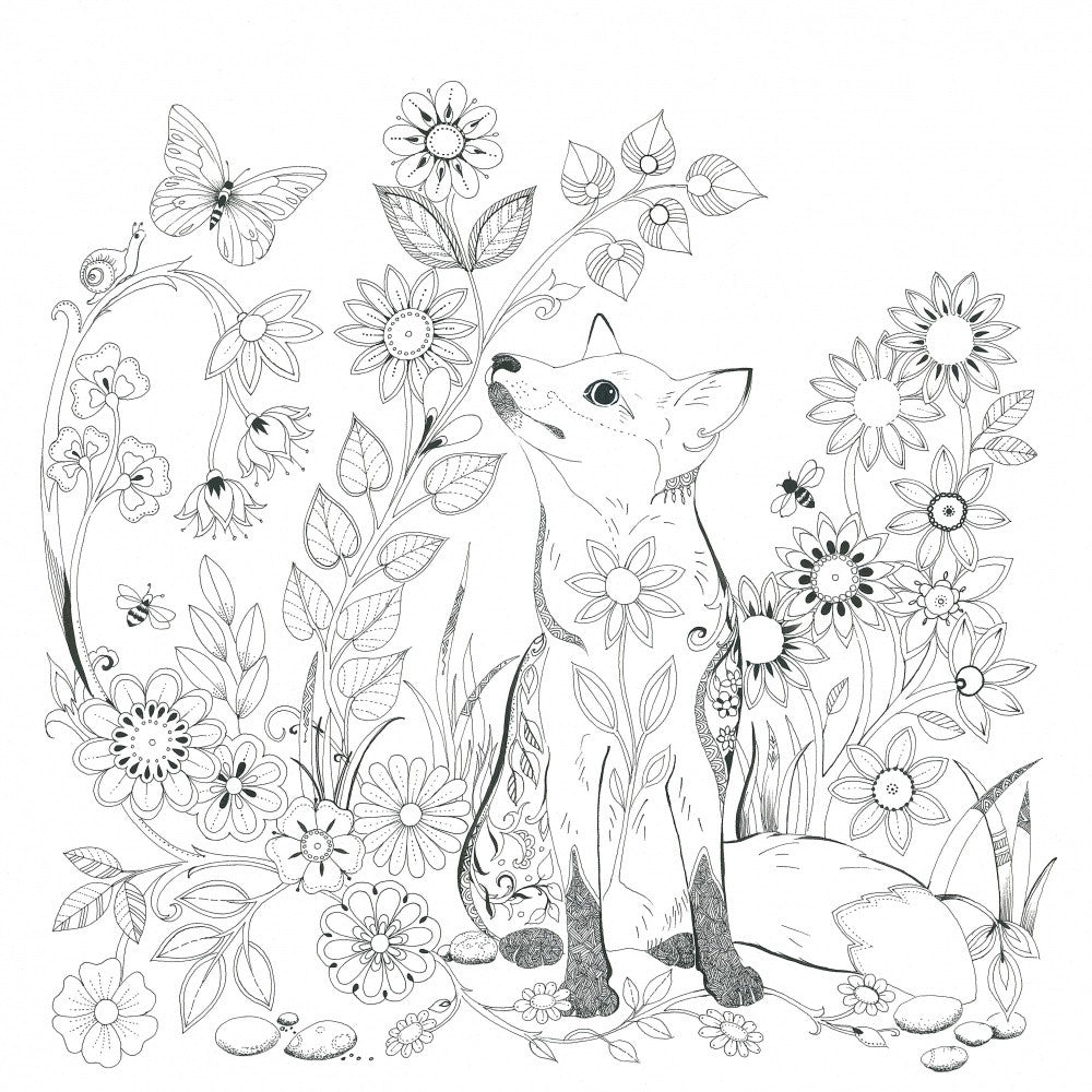 Fox in Garden