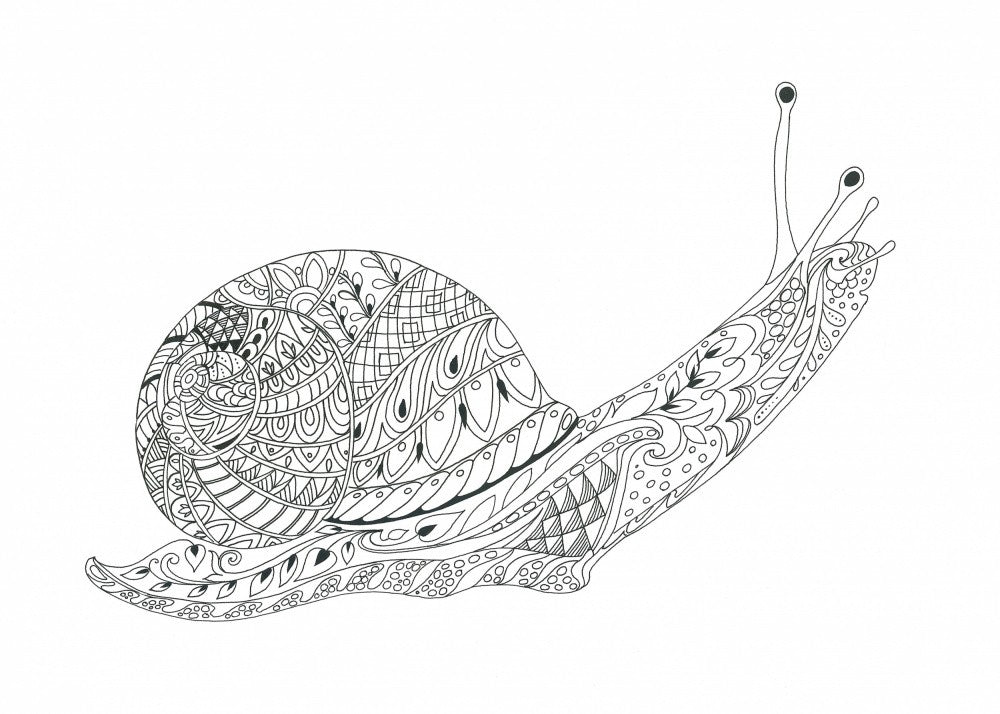 Whimsical Snail Maze
