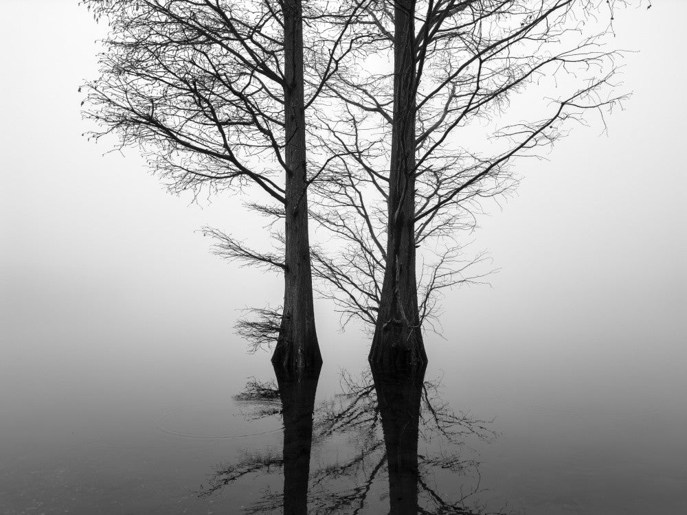 Wolfssee / Sechs-Seen-Platte