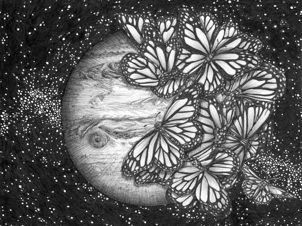 Jupiter's Butterflies