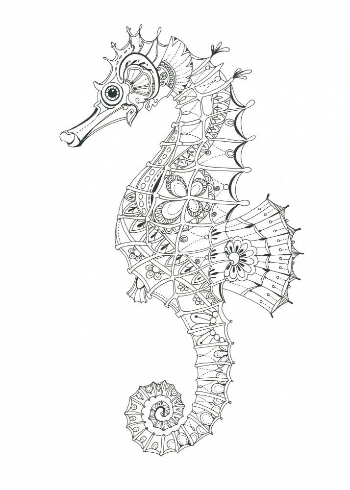 Ornate Seahorse Design