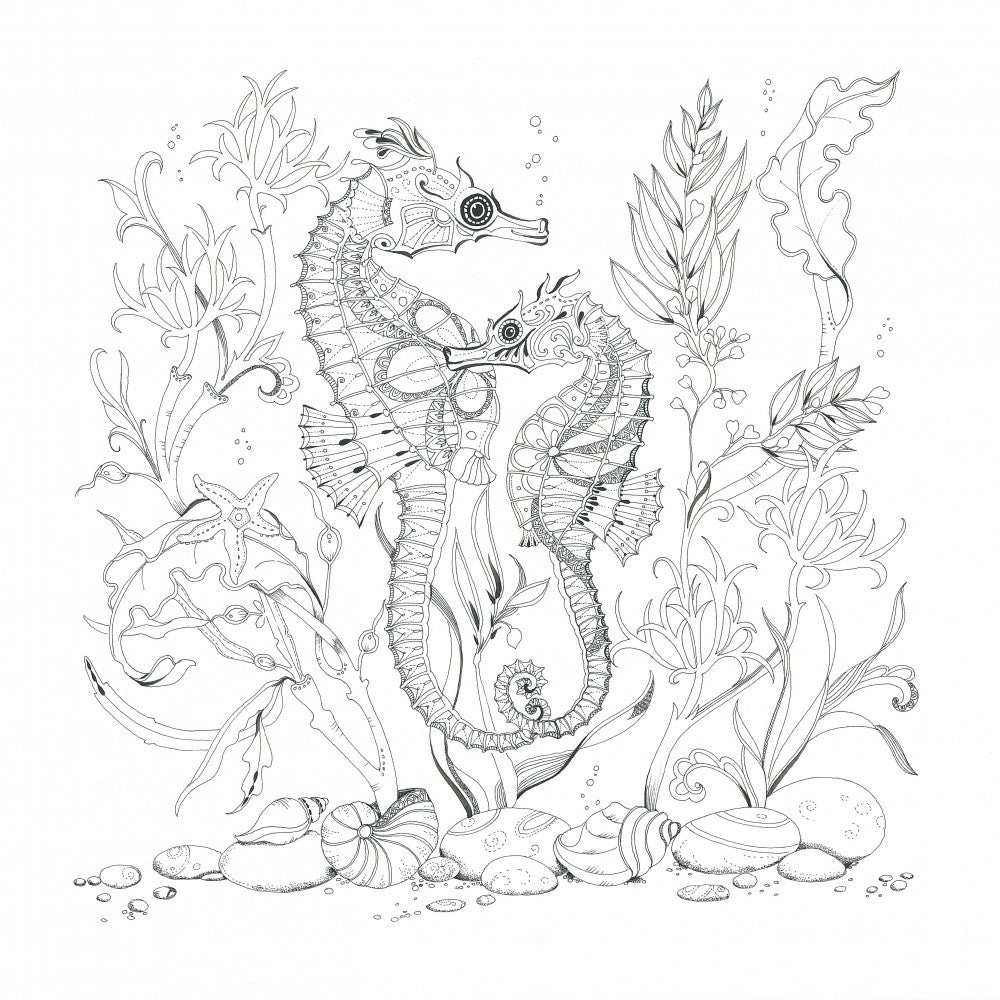 Seahorse Serenade