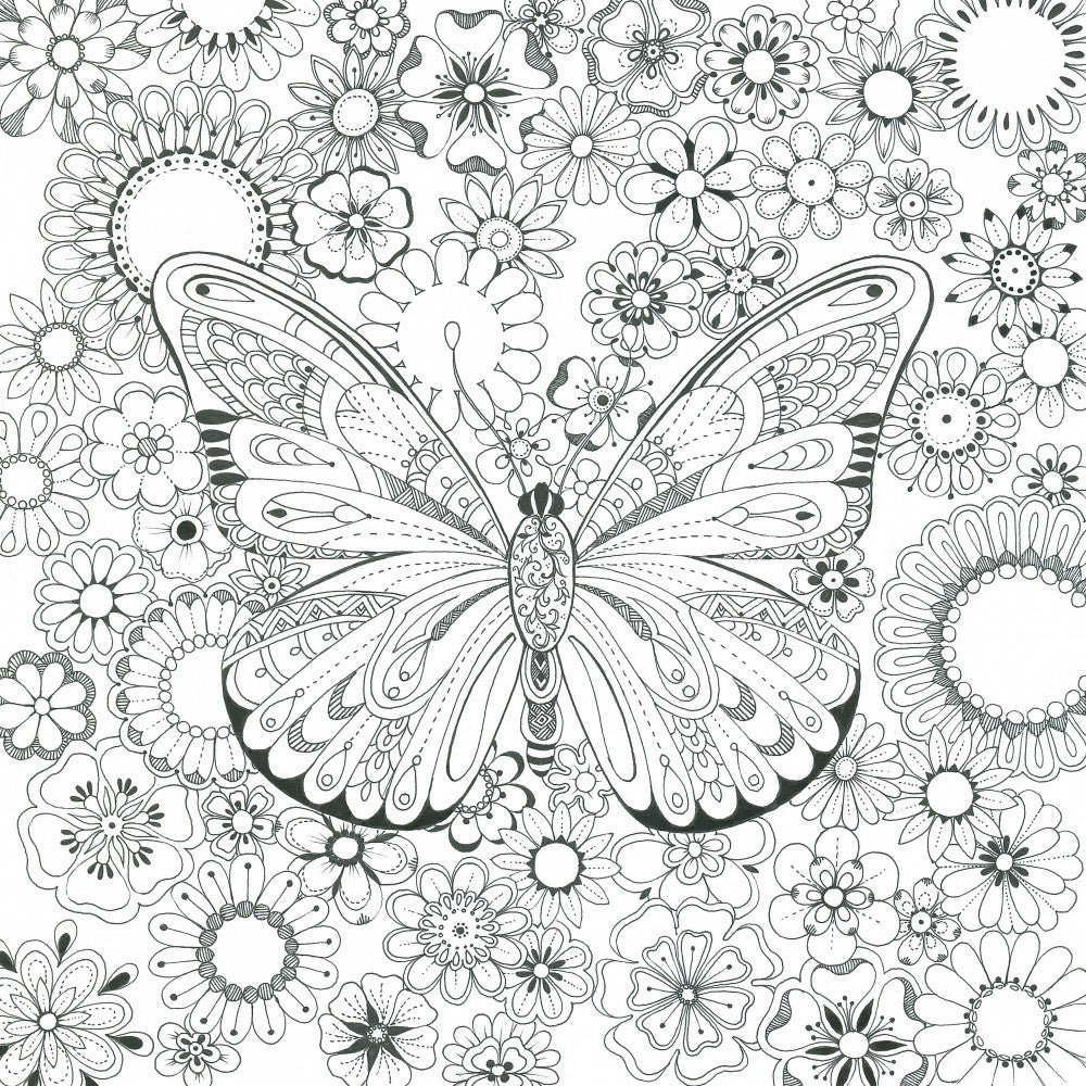 Butterfly and Flowers