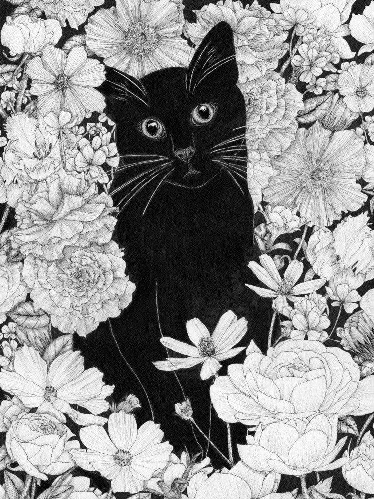 Little Black Garden Cat