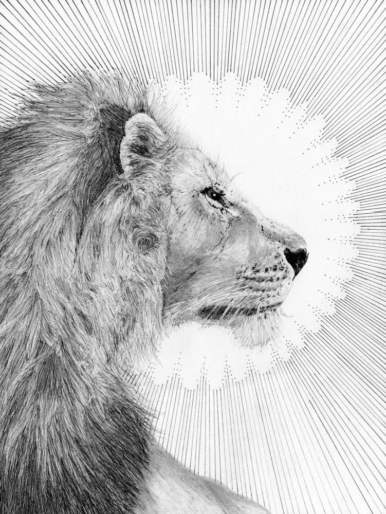 Sun and Lion
