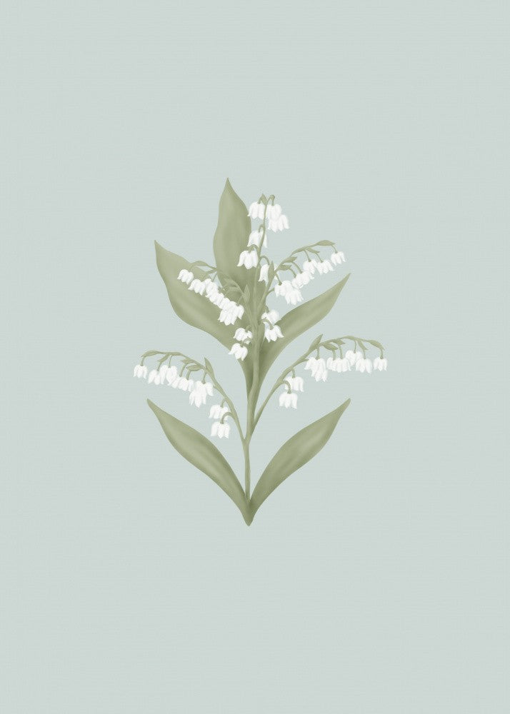 Liljekonvalj Vårblomma - Lily of the Valley Spring Floral