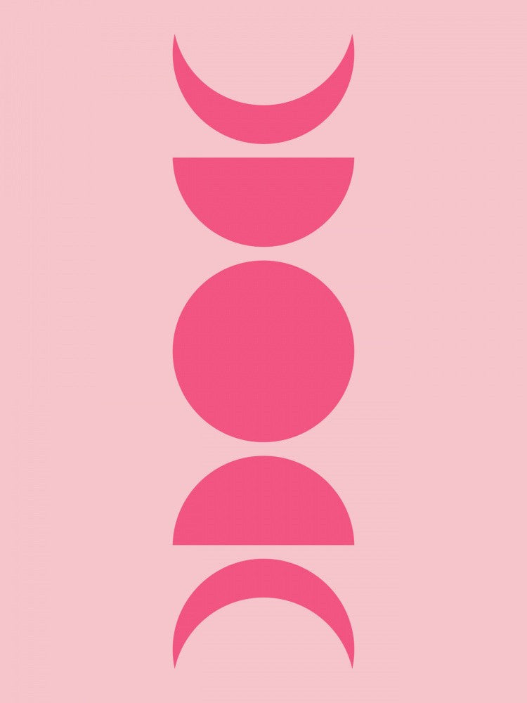 Bauhaus Boho Rose 6