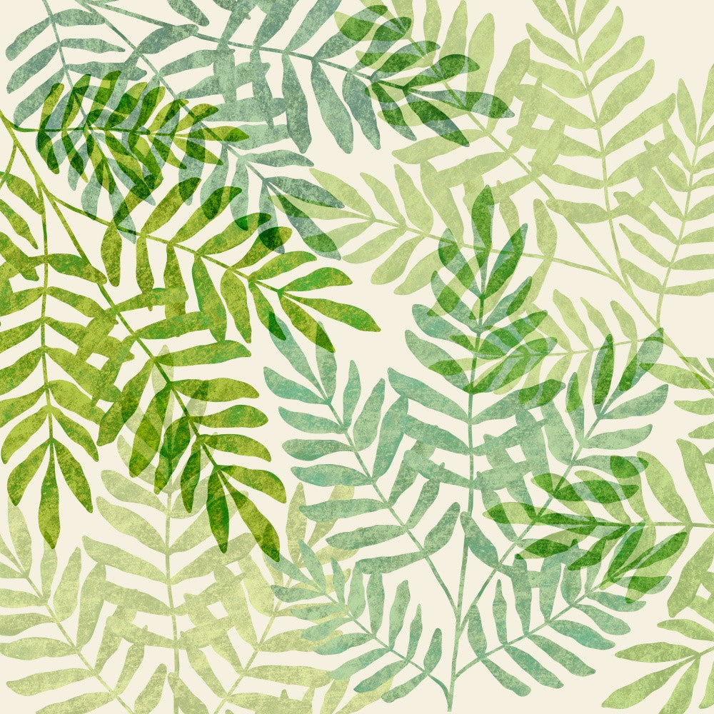 Tropical Forest Ferns