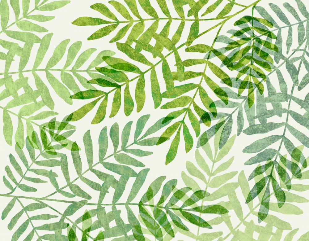 Jungle Forest Ferns