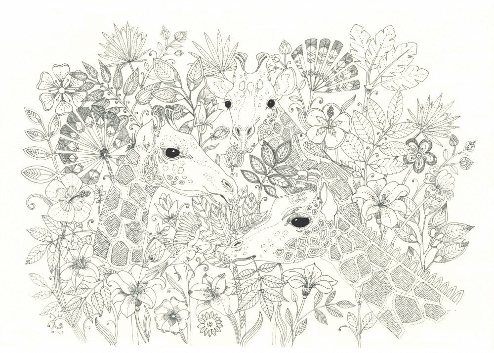 Giraffes in Bloom