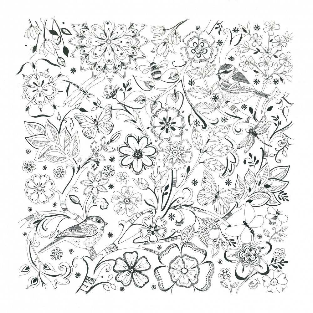 Garden Birds