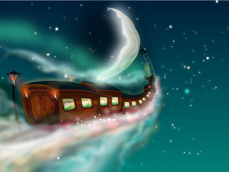 Trip To the Moon