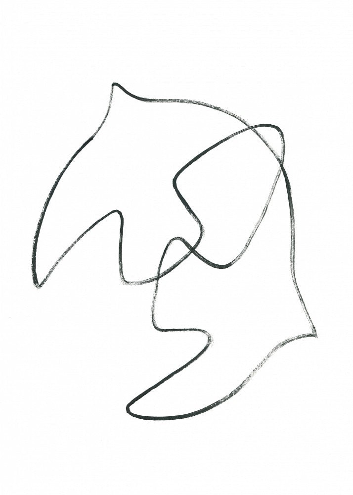 Whimsical Lines