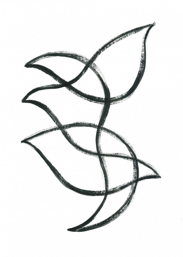 Interwoven Curves