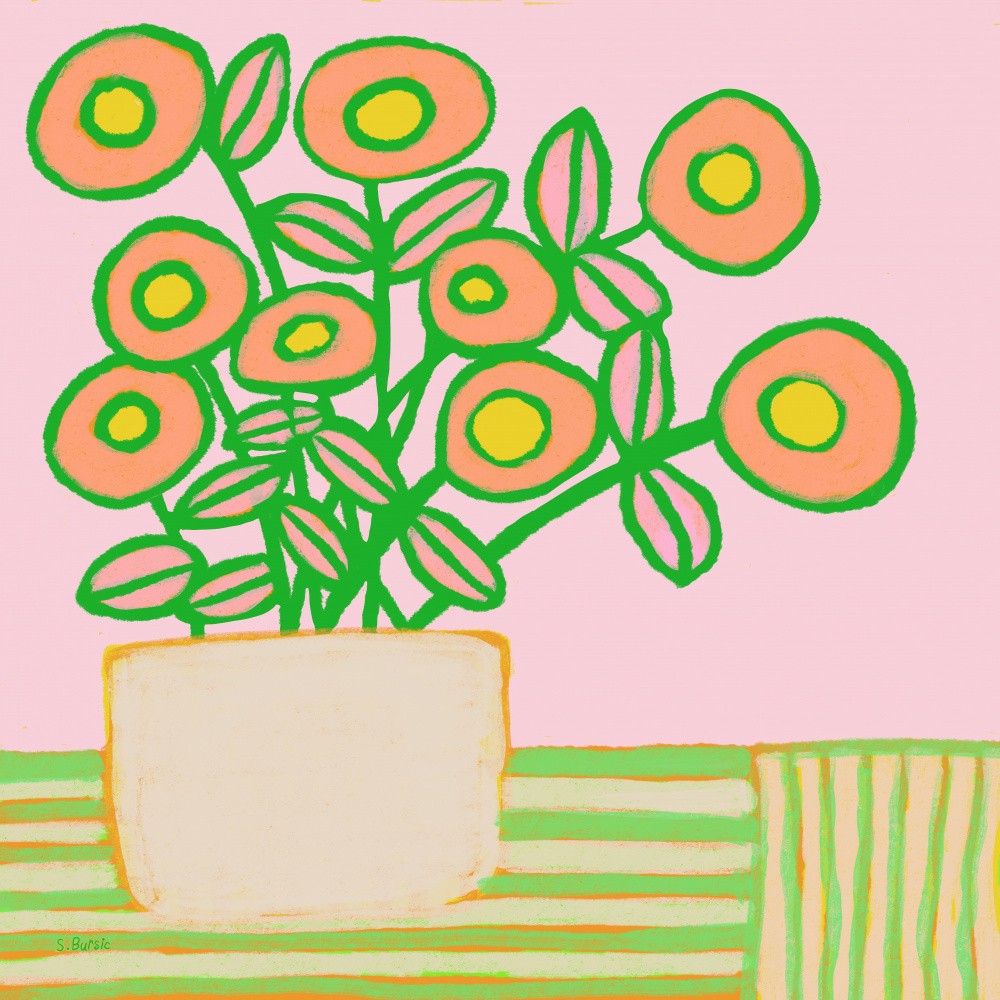 Flower pot in pinks