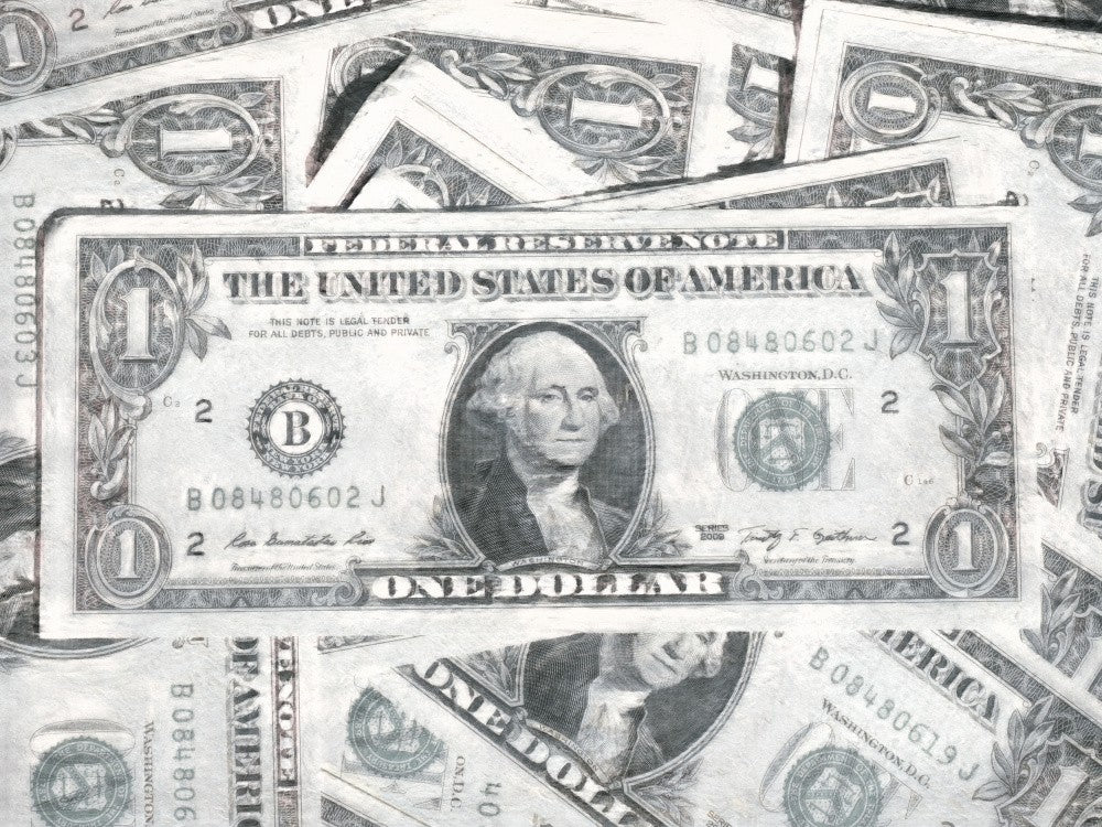Dollar Bill Greenback Arty