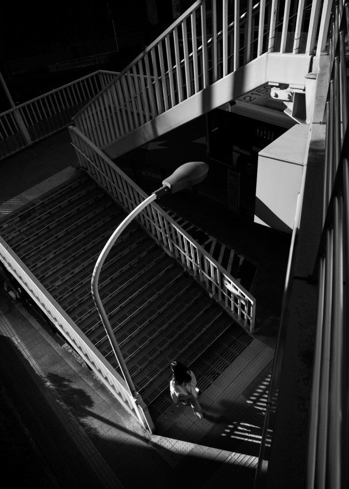 pedestrian bridge