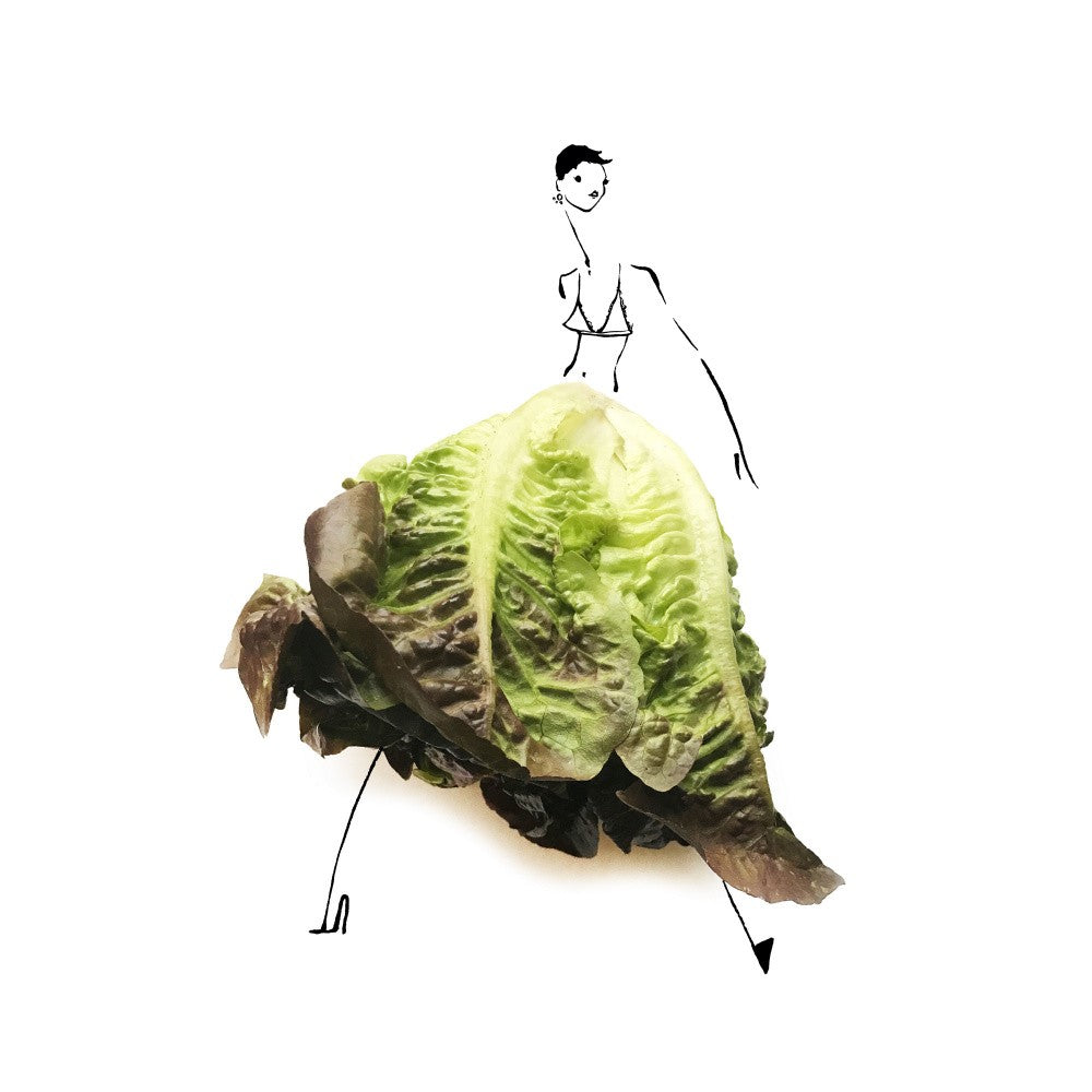Lettuce