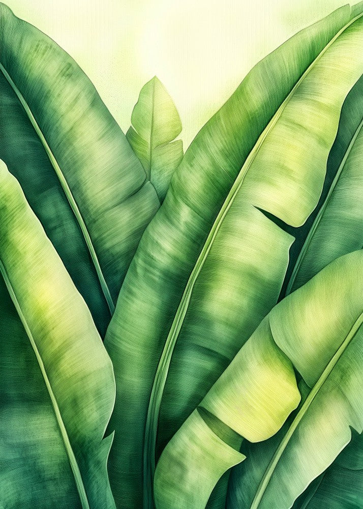 Tropical banana leaves nature art 7