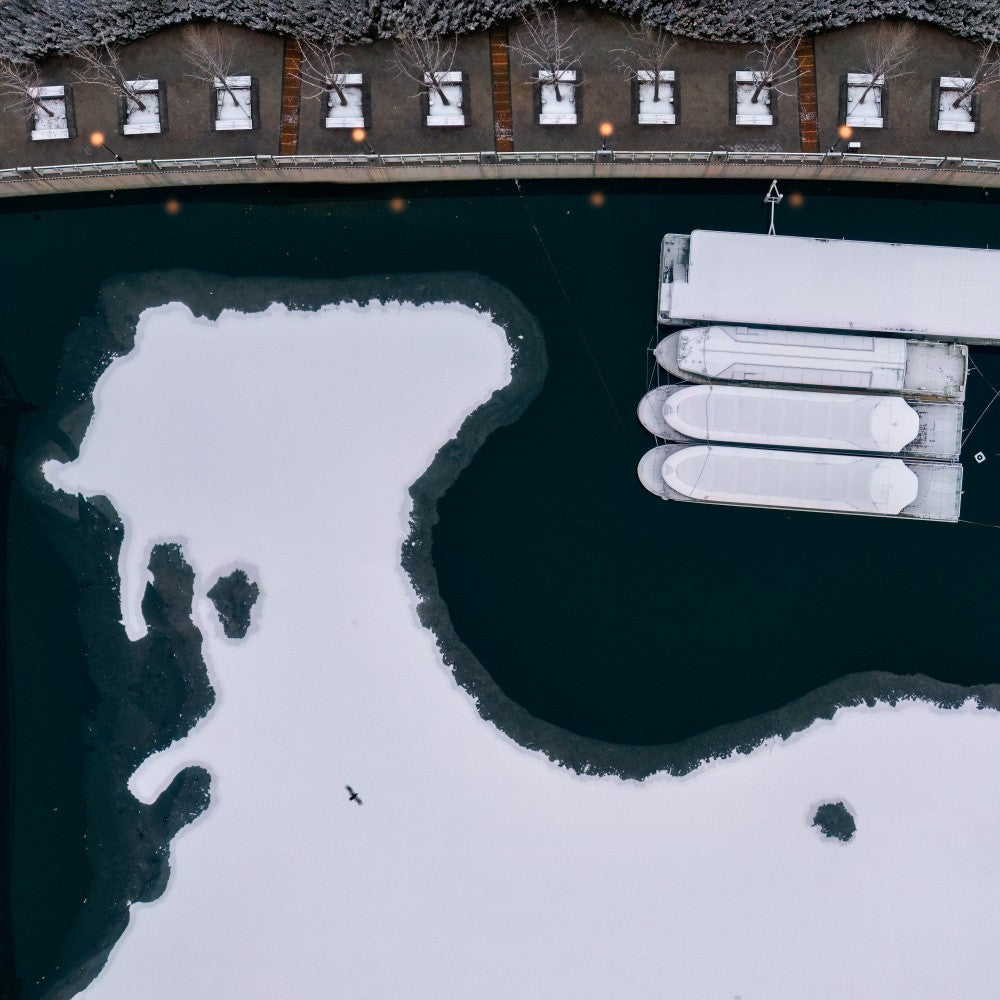 Harbor