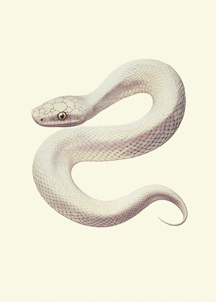 Snake Poster