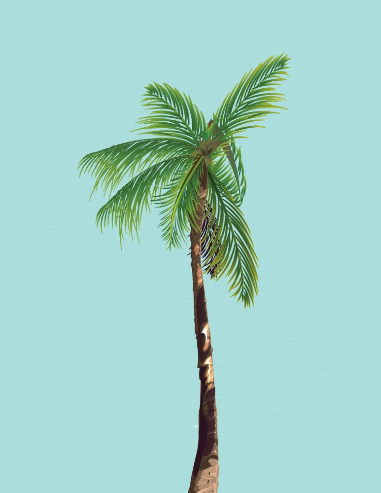 Palm Tree