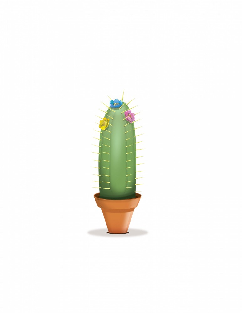 Cactus