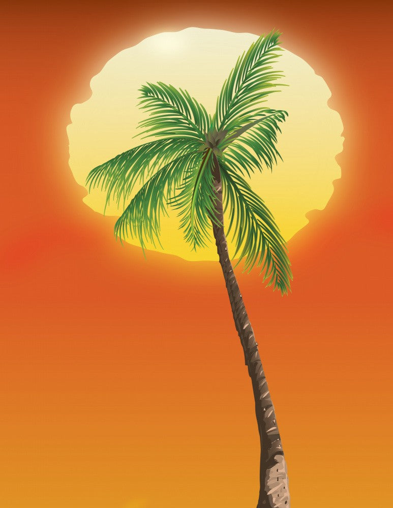 Hot Desert Palms