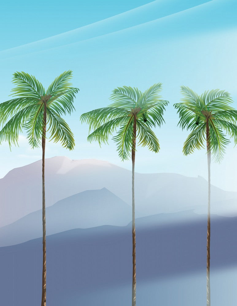 Tropical Plam Trees