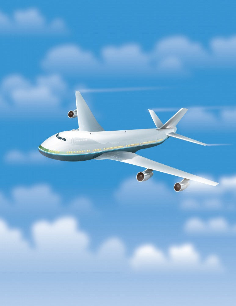 Commercial Airliner