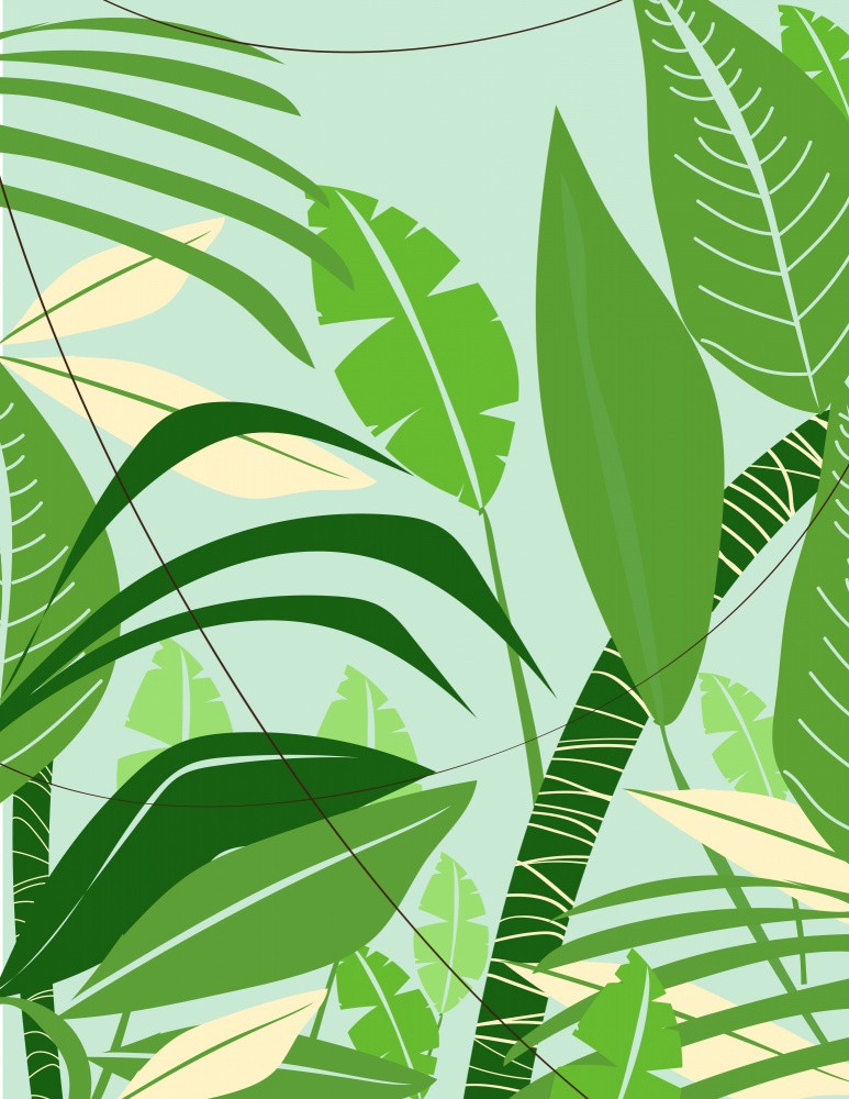 Tropical leaves