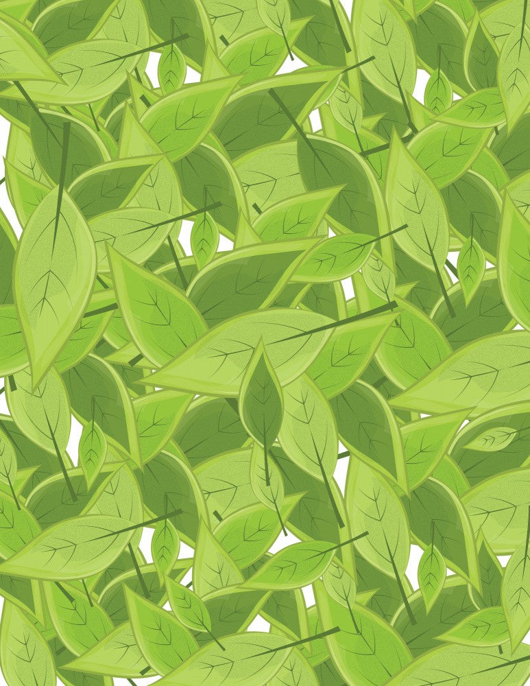 Leaves