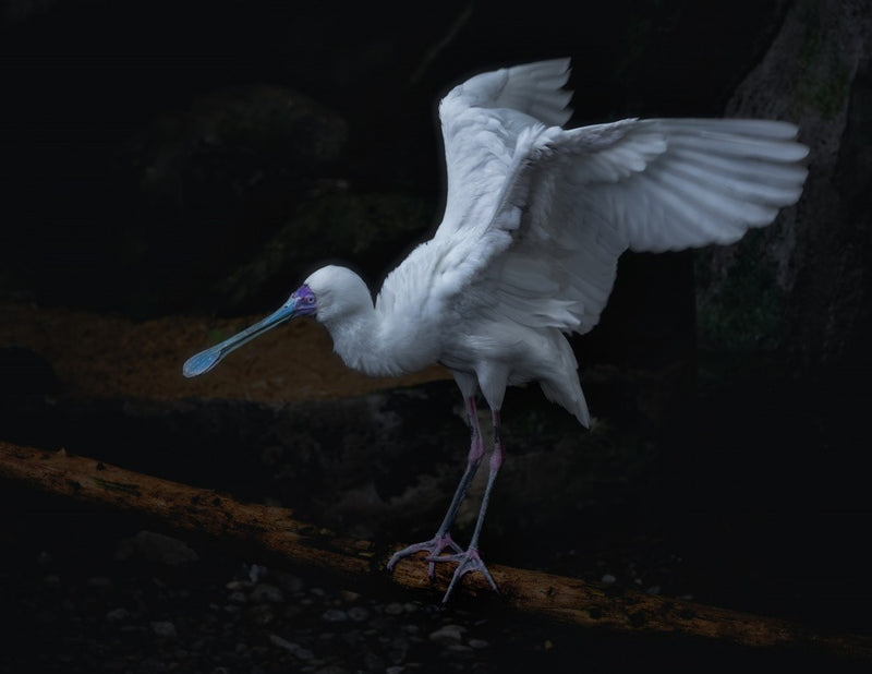 Taking off