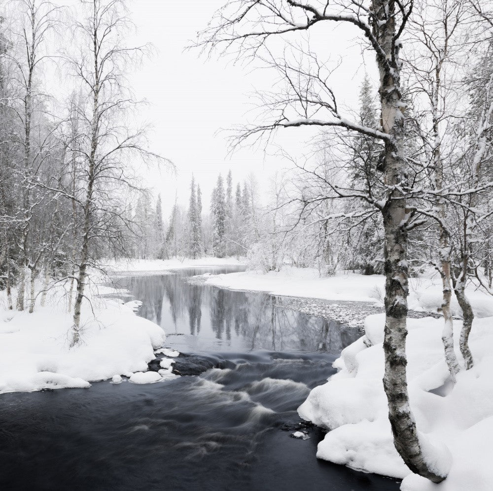 Winter's vibe