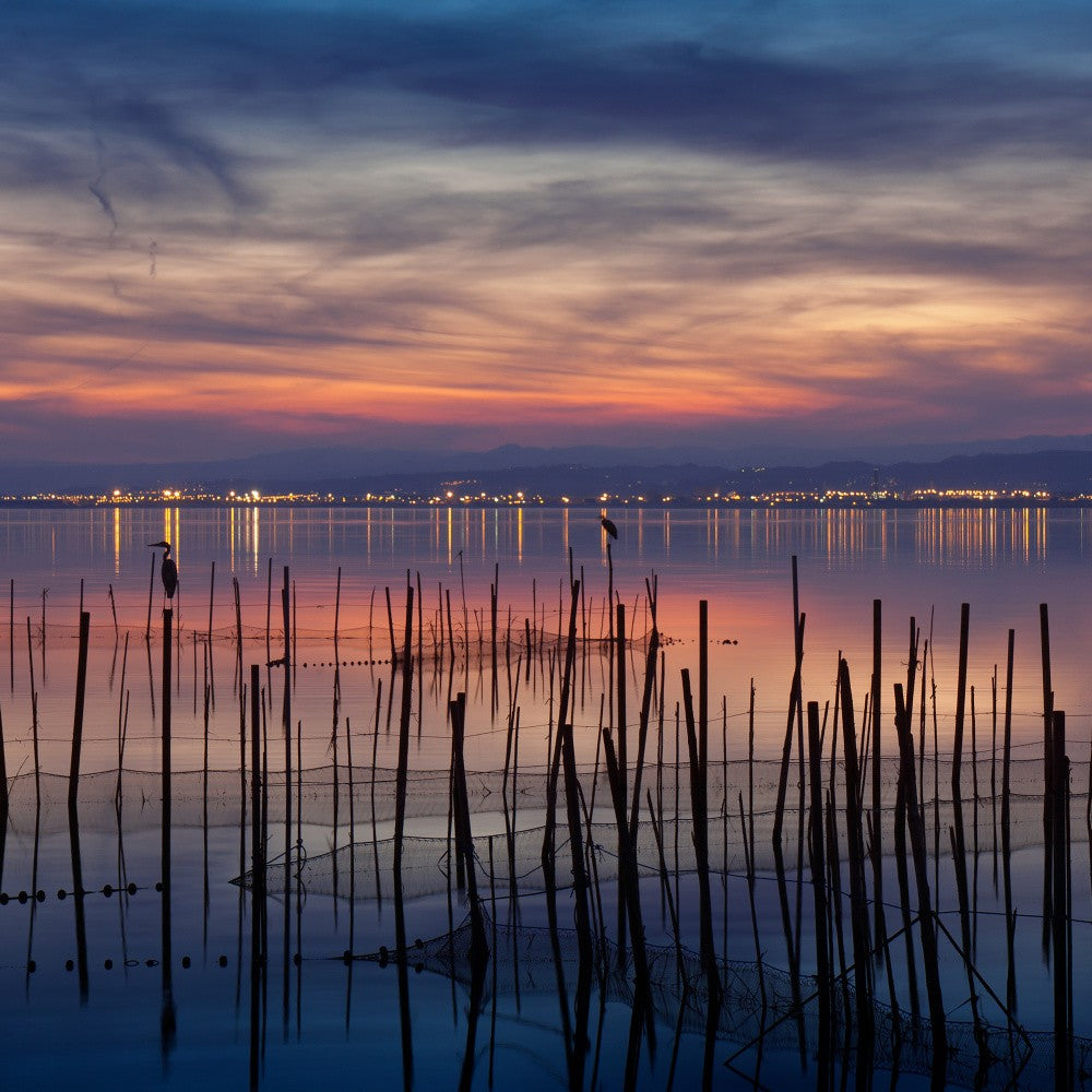 Sunset in the Albufera of Valencia I